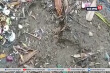 ঝাড়গ্রামে লন্ডভন্ড করল হাতি ঝাড়গ্রামে লন্ডভন্ড করল হাতি