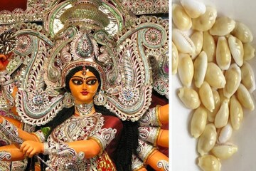 আজ মহাষষ্ঠী তায় বৃহস্পতিবার, কড়ি দিয়ে করুন এই কাজ টাকা আসতেই থাকবে