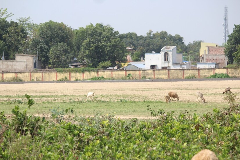 ১৯৬২ সালে প্রথম তৈরি হয় মালদহ বিমানবন্দর ৷ সেসময় প্রধাণত ‘কার্গো’ বিমানগুলিই ওঠানামা করত এই বিমানবন্দরে ৷ এরপর ১৯ আসনের ছোট বিমানও উড়েছে মালদহ বিমানবন্দরে ৷ কিন্তু তারপর যাত্রীর অভাবে এবং পরিকাঠামোগত সমস্যায় ধীরে ধীরে বন্ধই হয়ে যায় এই বিমানবন্দর ৷ মুখ্যমন্ত্রী মমতা বন্দ্যোপাধ্যায়ের উদ্যোগে চালু হয় সাপ্তাহিক হেলিকপ্টার সার্ভিস। সেই সার্ভিসও অনিয়মিত। এই অবস্থায় মালদহে নিয়মিত বিমান পরিষেবা চালু করতে উদ্যোগী হয়েছে রাজ্য সরকার। Photo: Siddhartha Sarkar