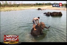হাতিদের লোকালয়ে ঢুকে পড়ার ঘটনা কি এড়ানো যায় না? হাতিদের লোকালয়ে ঢুকে পড়ার ঘটনা কি এড়ানো যায় না?