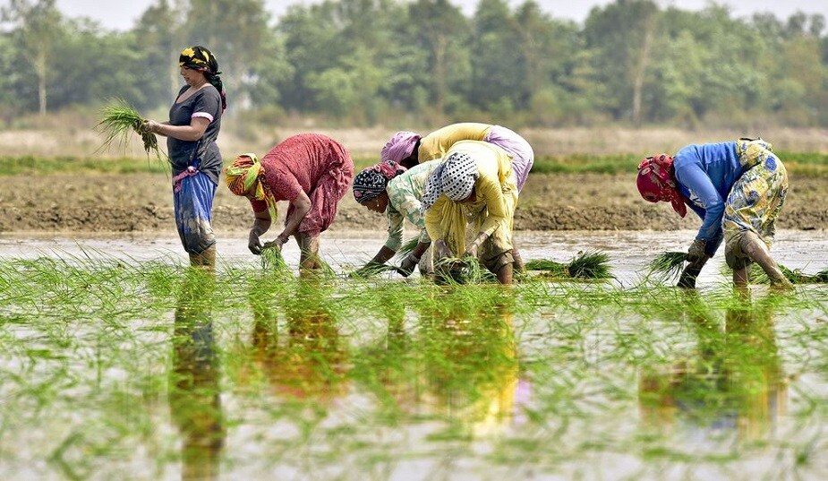 এবার বছরে তিনবার করে অর্থসাহায্য পাবেন কৃষকেরা ৷ সব মিলিয়ে বছরে মোট ৬ হাজার টাকা পেনশন পাবেন কৃষকরা ৷ এবার বছরে তিনবার করে অর্থসাহায্য পাবেন কৃষকেরা ৷ সব মিলিয়ে বছরে মোট ৬ হাজার টাকা পেনশন পাবেন কৃষকরা ৷