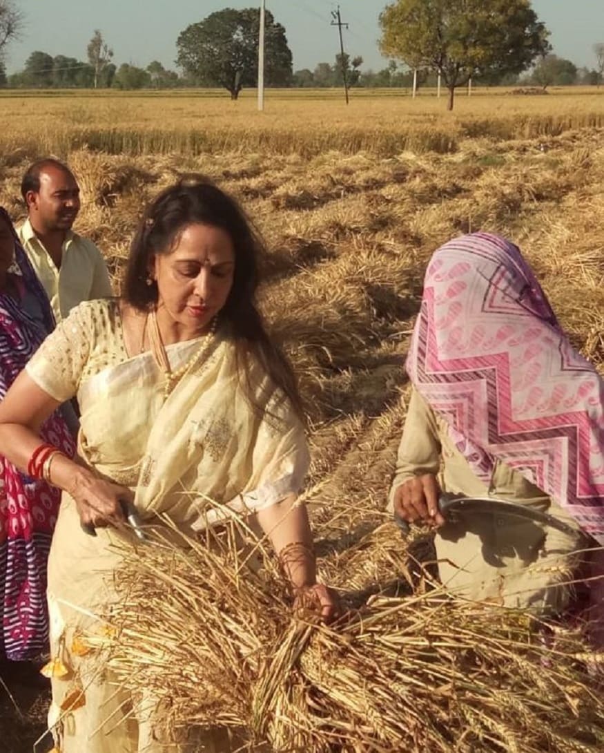 প্রচারের শুরুতেই মথুরার গোবর্ধন ক্ষেত্রে পৌঁছে যান হেমা৷ মাঠে পাকা শস্য তুলতে সাহায্য করলেন মহিলাদের৷ অভিনেত্রীর পরনে ছিল একেবারে হলদে রঙের শাড়ি যার রঙ একেবারে মিশে গেল পাকা শস্যের রঙের সঙ্গেই৷ Photo Courtesy: Twitter প্রচারের শুরুতেই মথুরার গোবর্ধন ক্ষেত্রে পৌঁছে যান হেমা৷ মাঠে পাকা শস্য তুলতে সাহায্য করলেন মহিলাদের৷ অভিনেত্রীর পরনে ছিল একেবারে হলদে রঙের শাড়ি যার রঙ একেবারে মিশে গেল পাকা শস্যের রঙের সঙ্গেই৷ Photo Courtesy: Twitter