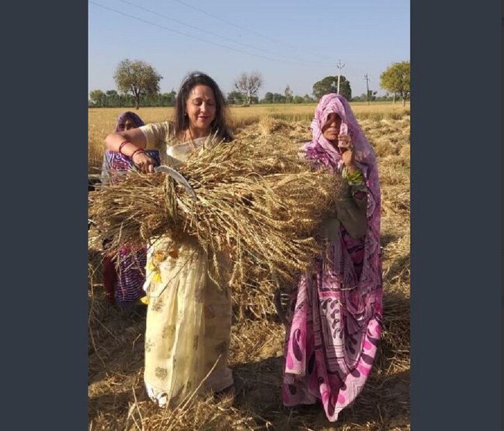 নিজে হাতেই সামলালেন ধান তোলার কাজ৷ যা দেখে অনেকেই বাহবা দিচ্ছেন৷ হেমা নিজেও বলছেন যে গ্রামের মানুষের কাছে প্রথমেই পৌঁছে যাবার কারণ হল, যাত তাঁরা কখনওই মনে না করেন যে তাদের প্রার্থী তাদের পাশেই রয়েছেন৷ Photo Courtesy: Twitter
