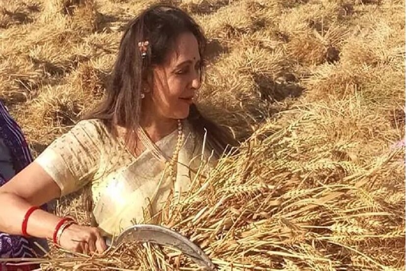 ভোট বড় বলাই৷ তাই তো স্বনামধন্য অভিনেত্রীকেও নামতে হলো মাঠে! হাত লাগাতে হল চাষের কাজে! এটা কোনও অভিনয়ের জন্য নয়, ভোটপ্রচারেই হাতে কাস্তে তুললেন বিজেপি প্রার্থী৷ Photo Courtesy: Twitter