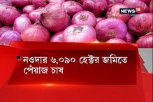 সঙ্কটে মুর্শিদাবাদের পেঁয়াজ চাষীরা সঙ্কটে মুর্শিদাবাদের পেঁয়াজ চাষীরা