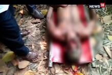 পাথর প্রতিমায় সিপিআইএম নেতা খুন, অভিযোগের তির তৃণমূলের দিকে পাথর প্রতিমায় সিপিআইএম নেতা খুন, অভিযোগের তির তৃণমূলের দিকে