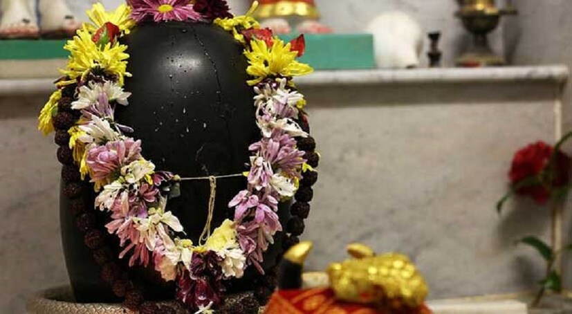 বামনী বললেন &quot;আমি এতদিন পর্যন্ত সব ষষ্ঠী করে আসছি কিন্তু তবুও আমার ছেলে- মেয়েরা বাঁচল না।'' তখন ষষ্ঠীবুড়ি বললেন, &quot;তুমি নীলষষ্ঠীর পুজো করেছ কখনও ? চৈত্র সংক্রান্তির আগের দিন উপোস করে শিবের পুজো করবে। শিবের ঘরে বাতি জ্বেলে জল খাবে। সন্তানদের মঙ্গলকামনা করবে&quot; Photo Source: Collected