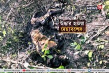 সুন্দরবনের জঙ্গলে উদ্ধার রয়্যাল বেঙ্গলের দেহাবশেষ সুন্দরবনের জঙ্গলে উদ্ধার রয়্যাল বেঙ্গলের দেহাবশেষ