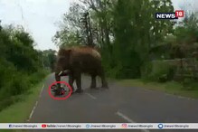 পা দিয়ে বাইক উল্টে দিল দাঁতাল, তারপর করল তাড়া, দেখুন ভিডিও পা দিয়ে বাইক উল্টে দিল দাঁতাল, তারপর করল তাড়া, দেখুন ভিডিও