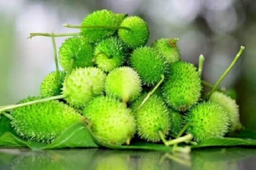 শিরোনাম পড়ে ভাবছেন, যে জিনিসটির এতদিন ধরে ভাজা খান ৷ সেই কাঁকরোলের এত উপকার ! তবে বিশেষজ্ঞরা কিন্তু এরকমটিই বলছেন ৷ কাঁকরোলে নাকি এমন অনেক কিছু রয়েছে যা সুস্থ থাকতে দারুণ সাহায্য করে ৷ শিরোনাম পড়ে ভাবছেন, যে জিনিসটির এতদিন ধরে ভাজা খান ৷ সেই কাঁকরোলের এত উপকার ! তবে বিশেষজ্ঞরা কিন্তু এরকমটিই বলছেন ৷ কাঁকরোলে নাকি এমন অনেক কিছু রয়েছে যা সুস্থ থাকতে দারুণ সাহায্য করে ৷