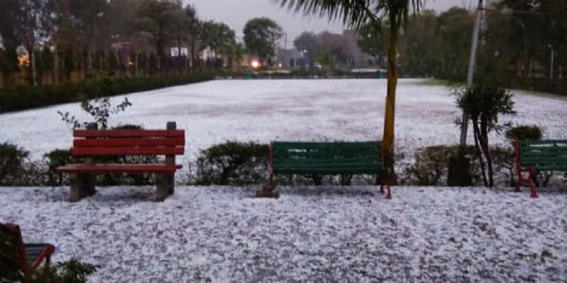 এতটাই শিলাবৃষ্টি হয় যে মাটি থেকে তা প্রায় তিন ইঞ্চি উঁচু হয়ে গিয়েছে। তবে এই  বৃষ্টিতে ঠান্ডা বাড়ার সম্ভাবনা রয়েছে। photo source collected