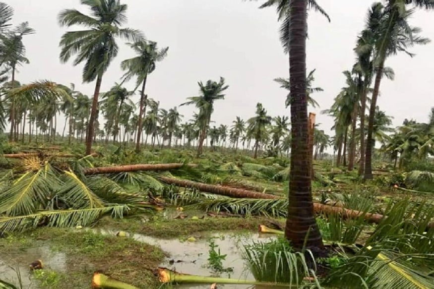 ৩ মে বিকেলে ওড়িশা উপকূলে পৌঁছবে ফণী ৷ গোপালপুর ও চাঁদবালির মধ্যে আছড়ে পড়তে পারে ৷ প্রতীকী ছবি ৷ ৩ মে বিকেলে ওড়িশা উপকূলে পৌঁছবে ফণী ৷ গোপালপুর ও চাঁদবালির মধ্যে আছড়ে পড়তে পারে ৷ প্রতীকী ছবি ৷