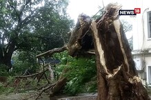 ফণীর দাপটে তছনছ ভূবনেশ্বর ফণীর দাপটে তছনছ ভূবনেশ্বর