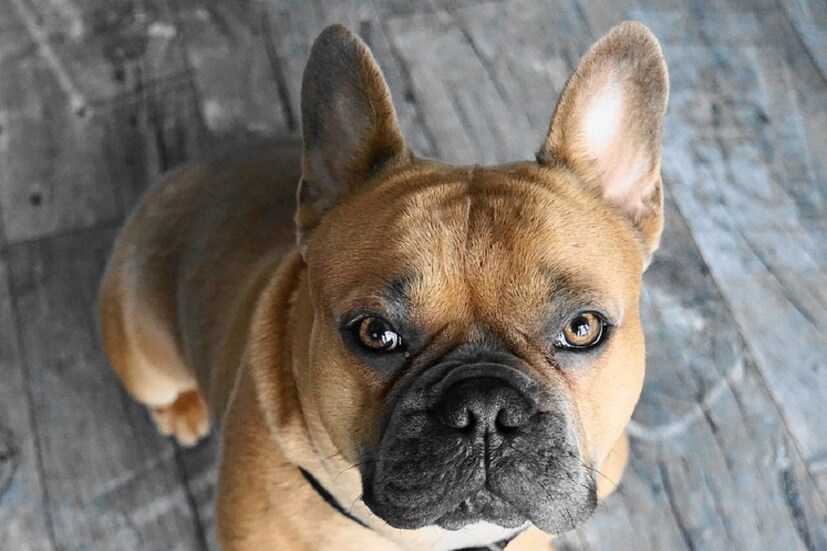 যদি আপনার জন্ম জানুয়ারি মাসে হয় তাহলে আপনি খুবই বিশ্বস্ত৷ আপনার মতো সৎ বন্ধু পাওয়া দুষ্কর৷