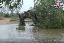 ফণীর দাপটে ব্যাপক ক্ষতিগ্রস্ত ওড়িশার যশপুর ফণীর দাপটে ব্যাপক ক্ষতিগ্রস্ত ওড়িশার যশপুর