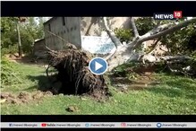 হঠাৎ ঝড়ে লন্ডভন্ড বীরভূম, একাধিক এলাকায় গাছ উপড়ে বিপত্তি হঠাৎ ঝড়ে লন্ডভন্ড বীরভূম, একাধিক এলাকায় গাছ উপড়ে বিপত্তি