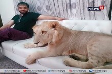 বাবর 'দ্য লায়ন কিং', মুলতানের চৌধুরি বাড়ির ছোট ছেলে বাবর 'দ্য লায়ন কিং', মুলতানের চৌধুরি বাড়ির ছোট ছেলে