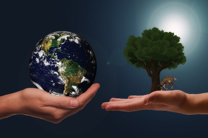 মে মাসে যারা জন্মেছেন তারা খুবই উদার হন৷ নিজেদের উজাড় করে দেওয়ার আগে দ্বিতীয়বার ভাবেন না তারা৷