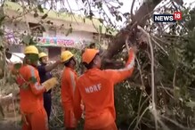 ওড়িশার পিপিলিতে ঝড়ের দাপট, তৎপর বিপর্যয় মোকাবিলা বাহিনী ওড়িশার পিপিলিতে ঝড়ের দাপট, তৎপর বিপর্যয় মোকাবিলা বাহিনী