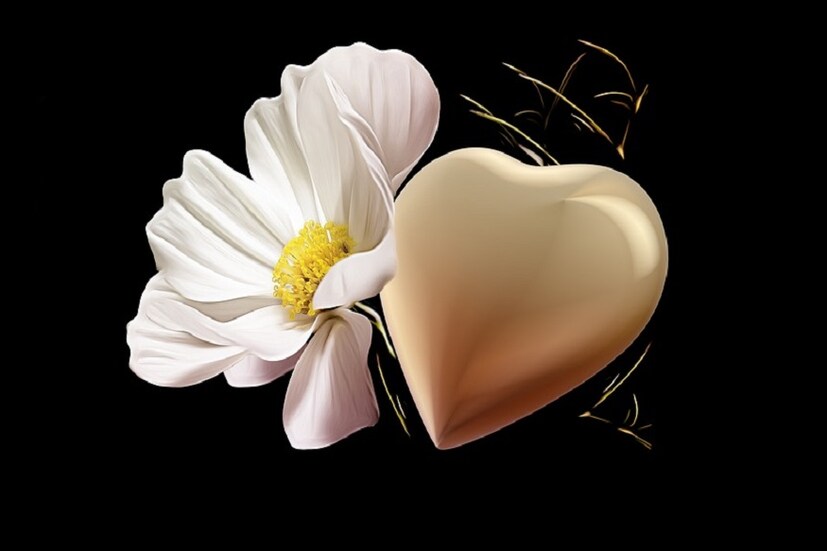 অগাস্ট মাসে যাদের জন্ম তারা খুবই সহানভূতিশীল হন৷ এরা জানেন ভালবাসার মানুষের অবহেলা কতটা যন্ত্রণাদায়ক৷ তাই অন্যদের অনভূতির প্রতি এরা খুবই সংবেদনশীল৷