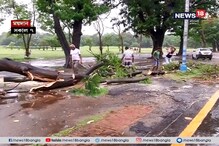ফণীর দাপটে লন্ডভন্ড, বিভিন্ন এলাকায় ভেঙে পড়েছে গাছ ফণীর দাপটে লন্ডভন্ড, বিভিন্ন এলাকায় ভেঙে পড়েছে গাছ