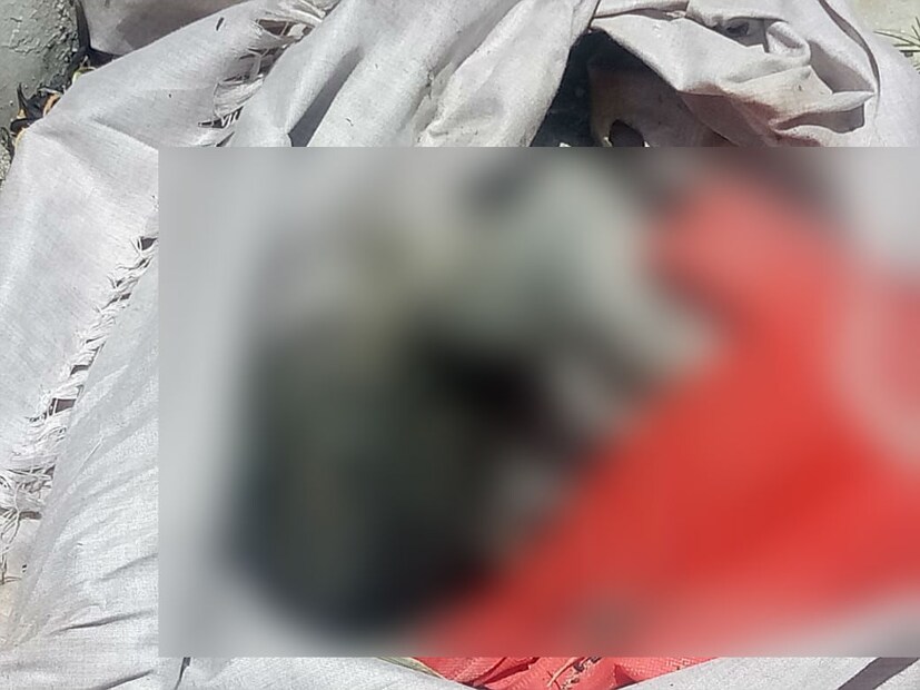 বেশ কয়েকজন ঘটনাটি প্রসঙ্গে অভিব্যক্তি দিয়েছেন শেষকৃত্যের পরে জল দিয়ে আগুন নেভানো হয়নি তাই এমন ঘটনা ঘটেছে ৷ প্রতি বছরেই এই সমাধিস্থানের রক্ষণাবেক্ষণের জন্য বরাদ্দ থাকে ২ কোটি টাকা ৷