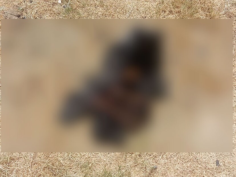 মুখ্য স্বাস্থ্য আধিকারিক ডঃ দেওয়েশ প্যাটেল জানিয়েছেন এই বিষয়ে অভিযোগ জমা পড়েছে ৷ অভিযোগ খতিয়ে দেখা হচ্ছে এবং উপযুক্ত ব্যবস্থা নেওয়া হবে ৷ 