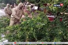 ফণীর দাপটে জায়গায় জায়গায় ভেঙে পড়েছে গাছ, চলছে পরিষ্কারের কাজ ফণীর দাপটে জায়গায় জায়গায় ভেঙে পড়েছে গাছ, চলছে পরিষ্কারের কাজ