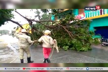 'ফণী'র প্রভাবে ভেঙে পড়লো একের পর এক গাছ! দেখুন ভিডিও 'ফণী'র প্রভাবে ভেঙে পড়লো একের পর এক গাছ! দেখুন ভিডিও