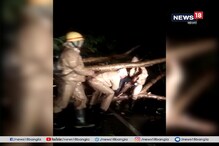 ফণী সাইক্লোনে ভেঙে পড়া গাছ সরিয়ে পরিস্থিতি স্বাভাবিকের চেষ্টা ফণী সাইক্লোনে ভেঙে পড়া গাছ সরিয়ে পরিস্থিতি স্বাভাবিকের চেষ্টা