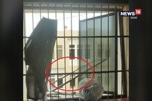 দেখে নিন শিউড়ে ওঠার মতো ভিডিও দেখে নিন শিউড়ে ওঠার মতো ভিডিও