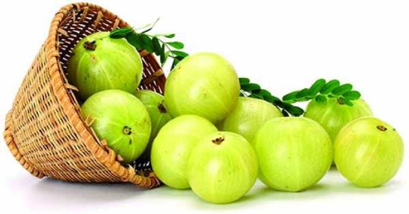 আমলকীতে প্রচুর পরিমাণে ভিটামিন সি আছে। প্রতিদিন একটা করে আমলকী খেতে পারলে অকালে চুল ঝরে যাওয়া থেকে রেহাই পাওয়া সম্ভব। photo source collected