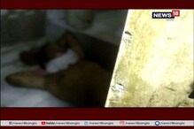 গলা কেটে খুন করা হল অবসরপ্রাপ্ত রেল কর্মীকে ! দেখুন ভিডিও গলা কেটে খুন করা হল অবসরপ্রাপ্ত রেল কর্মীকে ! দেখুন ভিডিও