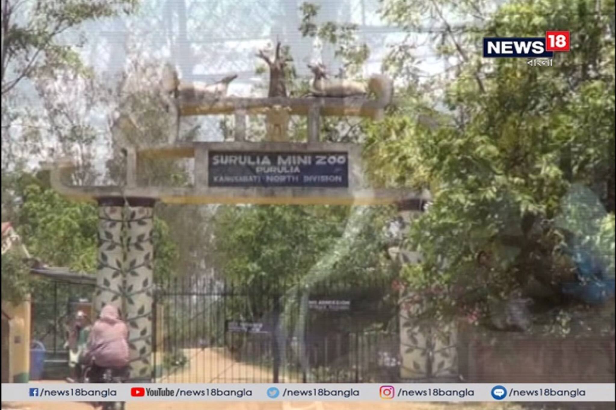 তীব্র গরমে নাজেহাল পুরুলিয়া মিনি জু-র পশুপাখিরা