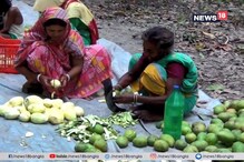 ঝরে পড়া আমে লক্ষ্মীলাভ, ভিন রাজ্যে যাচ্ছে কাটা আম, স্বনির্ভর হচ্ছেন মহিলারা ঝরে পড়া আমে লক্ষ্মীলাভ, ভিন রাজ্যে যাচ্ছে কাটা আম, স্বনির্ভর হচ্ছেন মহিলারা