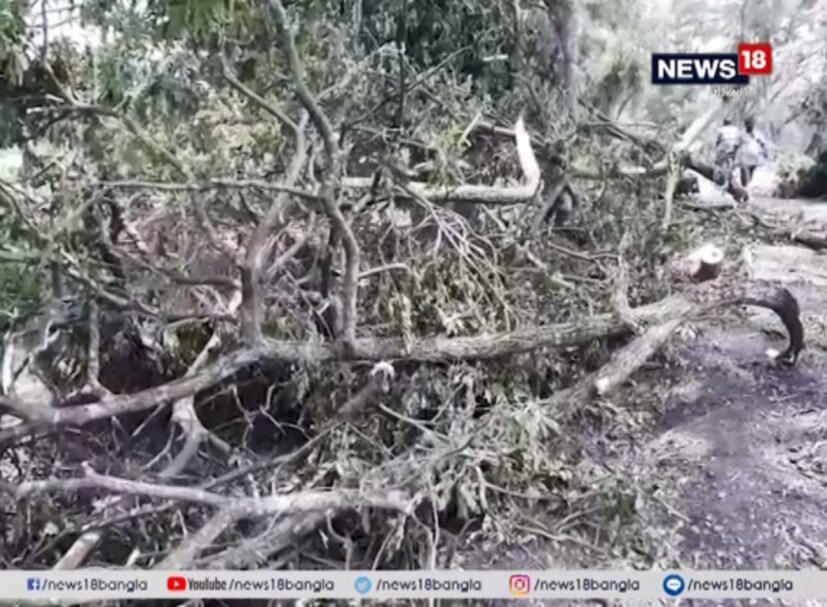 ২০০-র বেশি গাছ উপড়ে গিয়েছে ৷ 
