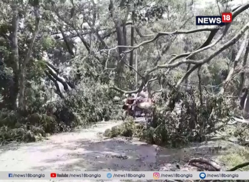 ক্ষতিগ্রস্ত ৩০-৪০ বাড়ি ঝড়ে ৷ আমতায় ঝড়ে পান চাষের ক্ষতি হয়েছে বলে জানা গিয়েছে ৷ 