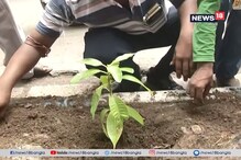 পরিবেশ বাঁচাতে কলকাতা জুড়ে গাছ লাগানোর উদ্যোগ পরিবেশ বাঁচাতে কলকাতা জুড়ে গাছ লাগানোর উদ্যোগ
