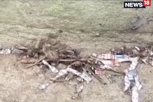 বিজেপি নেতার বাড়িতে বোমাবাজি ! তারকেশ্বর থানার গুড়েভাটা গ্রামের ঘটনা বিজেপি নেতার বাড়িতে বোমাবাজি ! তারকেশ্বর থানার গুড়েভাটা গ্রামের ঘটনা