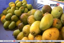 ঝাড়গ্রামের কুলটিগরিতে আম পার্বন, দেদার বিকোচ্ছে হিমসাগর, আম্রপালি ঝাড়গ্রামের কুলটিগরিতে আম পার্বন, দেদার বিকোচ্ছে হিমসাগর, আম্রপালি