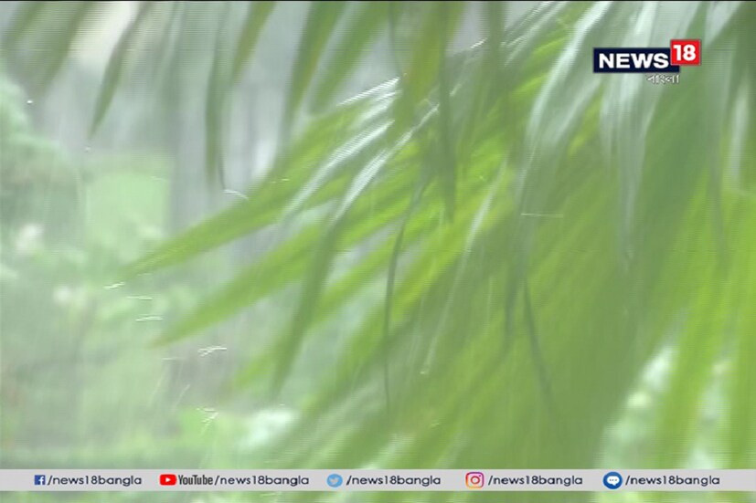 মুর্শিদাবাদ, কাটোয়া, রায়গঞ্জ ও নদিয়ায় নেমেছে তুমুল বৃষ্টি ৷