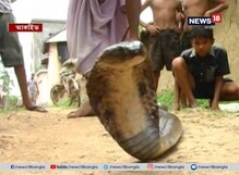 সাপের কামড় ঠেকাতে বিশেষ ব্যবস্থা, কৃষকদের জন্য বিশেষ মোজা তৈরির ভাবনা সাপের কামড় ঠেকাতে বিশেষ ব্যবস্থা, কৃষকদের জন্য বিশেষ মোজা তৈরির ভাবনা