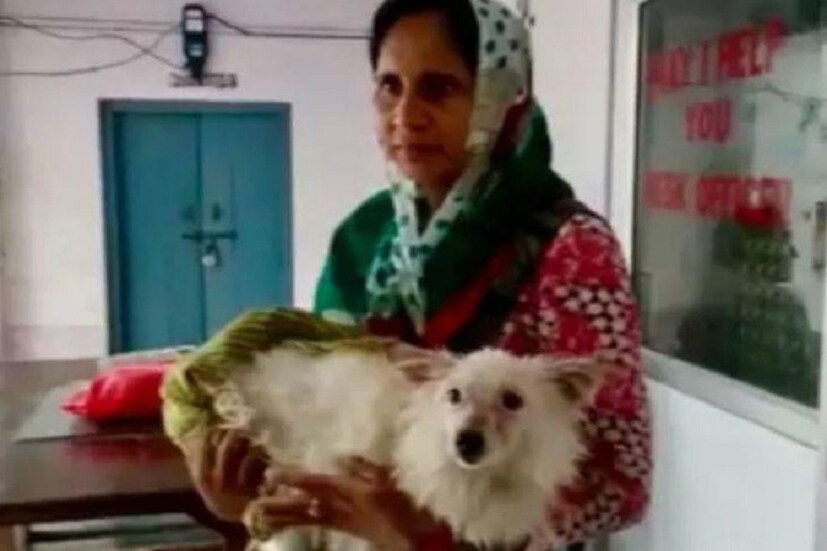♦ গত বৃহস্পতিবার পোষা কুকুরটিকে খুঁজে পাওয়া যাচ্ছিল না ৷ আর তার চিন্তায় বাড়িতে বসে ছটফট করছিলেন সারমেয়টির মালকিন সন্তোষ দেবী ৷