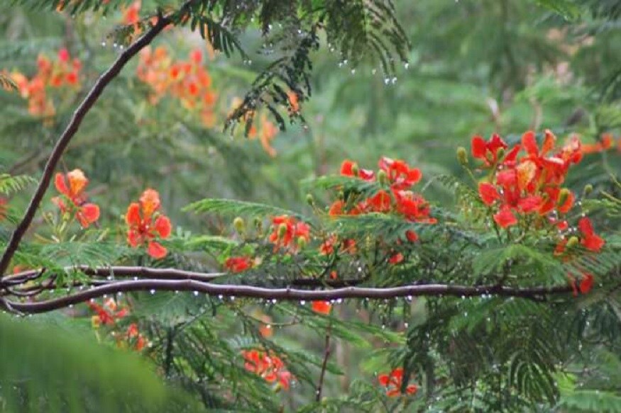 দক্ষিণবঙ্গের ৪ জেলায় মুর্শিদাবাদ, বীরভূম, নদিয়া ও পূর্ব বর্ধমানে হতে চলেছে জোরদার বৃষ্টিপাত ৷ প্রতীকী ছবি ৷ দক্ষিণবঙ্গের ৪ জেলায় মুর্শিদাবাদ, বীরভূম, নদিয়া ও পূর্ব বর্ধমানে হতে চলেছে জোরদার বৃষ্টিপাত ৷ প্রতীকী ছবি ৷