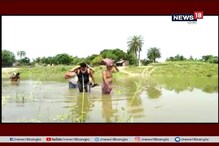 জলঙ্গির পরাশপুর চরের ছবি, সাঁতরে স্কুলে যাচ্ছেন ছাত্র-শিক্ষকরা জলঙ্গির পরাশপুর চরের ছবি, সাঁতরে স্কুলে যাচ্ছেন ছাত্র-শিক্ষকরা