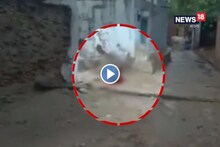 প্রকাশ্যে মাথা লক্ষ্য করে গুলি! লুটিয়ে পড়লেন মহিলা, সামনে এল ভিডিও