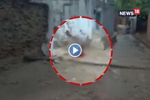প্রকাশ্যে মাথা লক্ষ্য করে গুলি! লুটিয়ে পড়লেন মহিলা, সামনে এল ভিডিও প্রকাশ্যে মাথা লক্ষ্য করে গুলি! লুটিয়ে পড়লেন মহিলা, সামনে এল ভিডিও