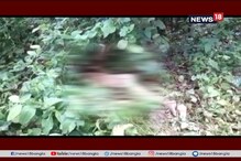 হাতির হানায় মৃত ১, আতঙ্কের পরিবেশ এলাকায় হাতির হানায় মৃত ১, আতঙ্কের পরিবেশ এলাকায়