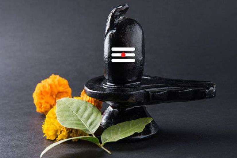 শুধুই নিরামিষ না একবেলা ভাত ও একবেলা রুটি খেলে তিথি নক্ষত্র অনুযায়ী জীবনে বিশেষ প্রভাব ফেলে ৷