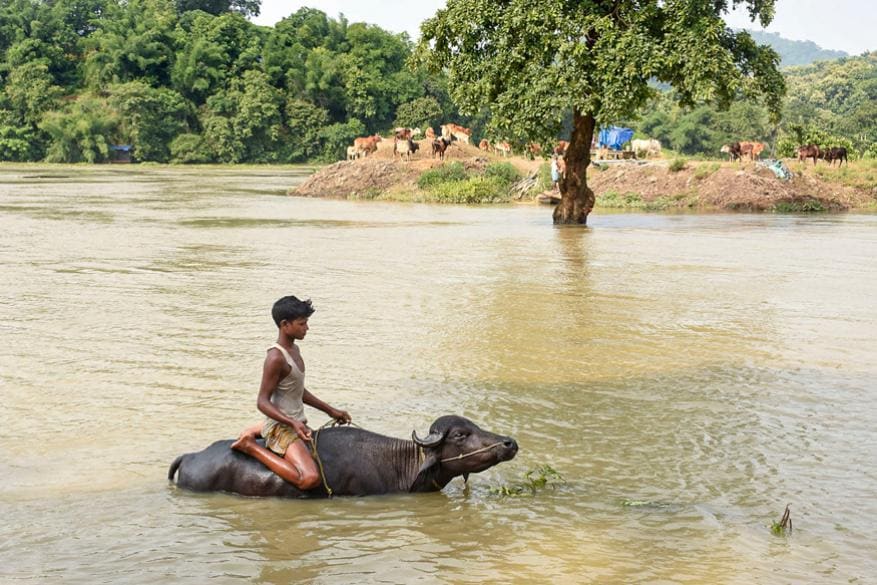 একদিকে অবিরাম বৃষ্টি, অন্যদিকে নদীর জল বাড়ছে ক্রমাগত। সবমিলিয়ে অসমের ৩৩টি জেলার মধ্যে বন্যায় প্লাবিত ৩১টি জেলাই। যে দিকেই চোখ যাচ্ছে, শুধু জল আর জল... একদিকে অবিরাম বৃষ্টি, অন্যদিকে নদীর জল বাড়ছে ক্রমাগত। সবমিলিয়ে অসমের ৩৩টি জেলার মধ্যে বন্যায় প্লাবিত ৩১টি জেলাই। যে দিকেই চোখ যাচ্ছে, শুধু জল আর জল...